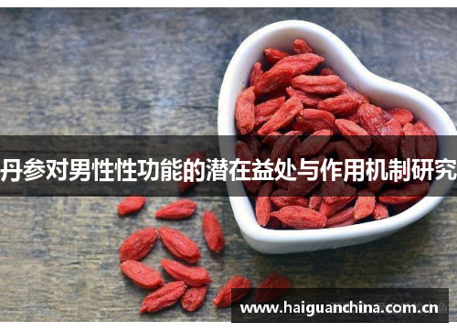 丹参对男性性功能的潜在益处与作用机制研究